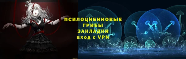 молекула духа Горнозаводск