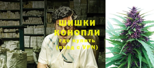 молекула духа Горнозаводск