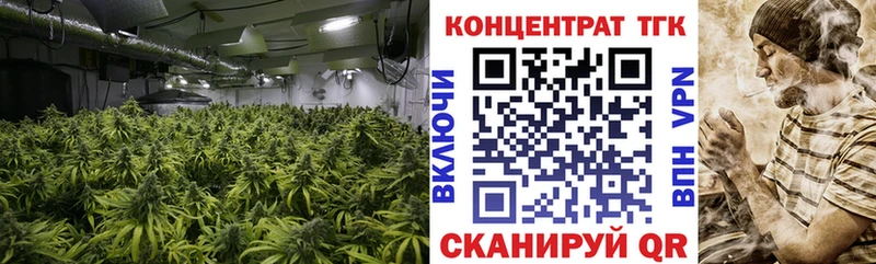 KRAKEN ССЫЛКА  Иваново  ТГК THC oil 